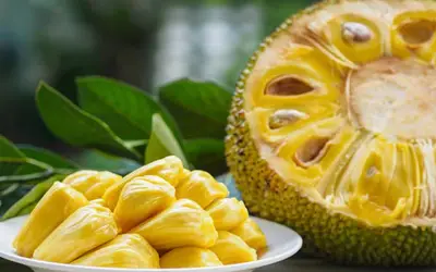 Giá trị dinh dưỡng của quả mít và những lưu ý quan trọng khi tiêu thụ