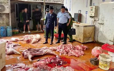 Hưng Yên: Chuyển công an điều tra gần 1 tấn thịt lợn nhiễm dịch tả lợn châu Phi