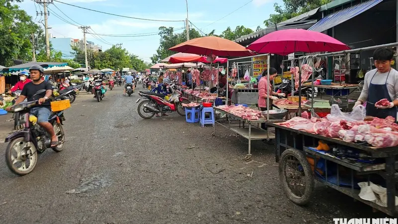 Food Safety Warning: Alarming Conditions at Ho Chi Minh City Wholesale Markets