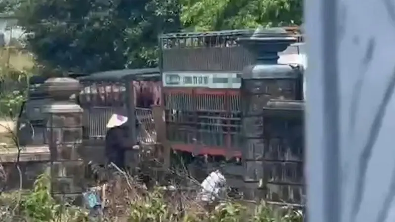 Quảng Trị triệt phá đường dây vận chuyển 250 tấn heo nhiễm dịch tả heo châu Phi