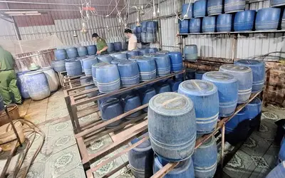 Khởi tố vụ án sử dụng chất cấm 6-benzylaminopurine trong sản xuất giá đỗ tại Hưng Yên