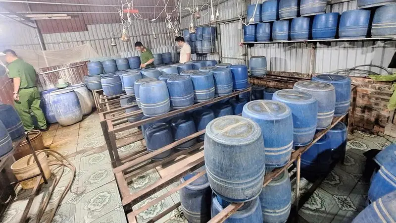 Khởi tố vụ án sử dụng chất cấm 6-benzylaminopurine trong sản xuất giá đỗ tại Hưng Yên