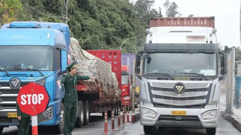 Chính phủ tạm dừng áp dụng Nghị định 46 về an toàn thực phẩm đến hết ngày 15/4/2026