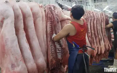 TP.HCM siết chặt quản lý an toàn thực phẩm: Bảo vệ bữa ăn cho 14 triệu dân
