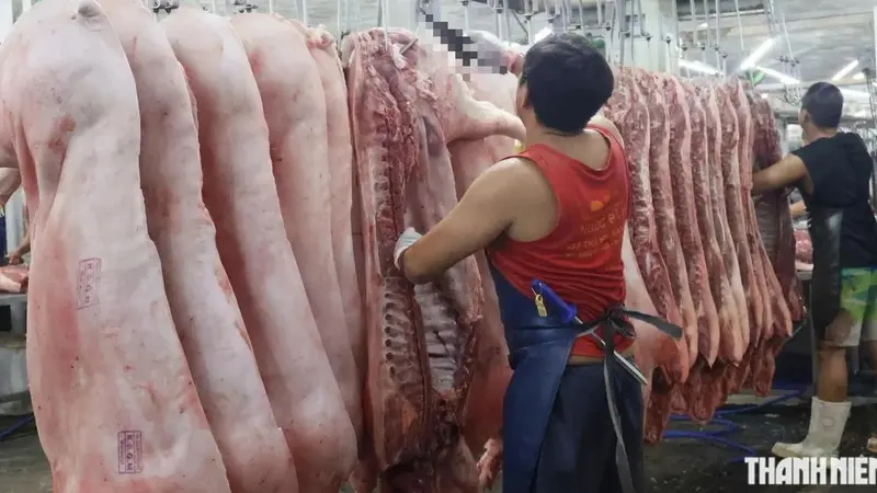 TP.HCM siết chặt quản lý an toàn thực phẩm: Bảo vệ bữa ăn cho 14 triệu dân