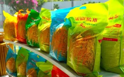 Thực thi hiệu quả quyền sở hữu trí tuệ, bảo hộ thương hiệu gạo Việt