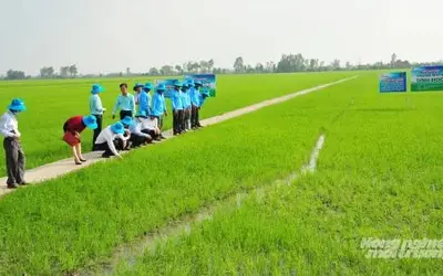 Ba nhóm rào cản lớn trong chuyển đổi sang nông nghiệp hữu cơ và tuần hoàn