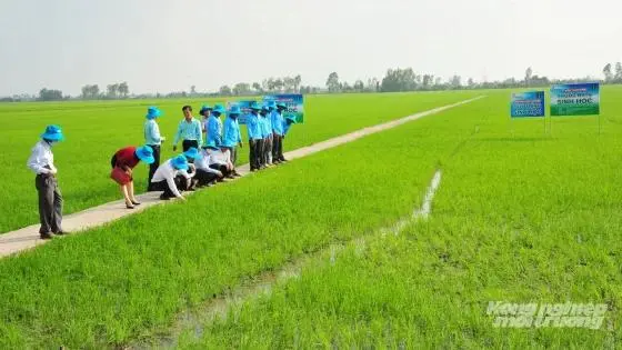 Ba nhóm rào cản lớn trong chuyển đổi sang nông nghiệp hữu cơ và tuần hoàn