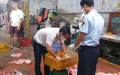 Chuyển cơ quan điều tra vụ gần 1 tấn thịt heo nghi nhiễm dịch tả heo châu Phi