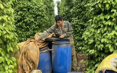 Giảm 30 - 50% chi phí phân bón nhờ mô hình ủ phân hữu cơ vi sinh tại Lâm Đồng
