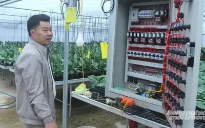 Hành trình khởi nghiệp nông nghiệp công nghệ cao từ cảm hứng đời thực