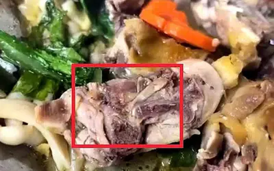 Xử phạt 27 triệu đồng cơ sở nấu ăn tại Đắk Lắk vì để thực phẩm nhiễm giòi