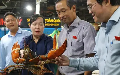 Tăng cường giám sát an toàn thực phẩm tại các chợ đầu mối trọng điểm TP.HCM