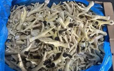 Triệt phá đường dây nhập lậu hơn 10.000 tấn chân gà 'bẩn' ra thị trường