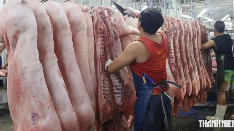 Kiểm soát an toàn thực phẩm tại TP.HCM: Hơn 858 tấn thịt lưu thông mỗi ngày