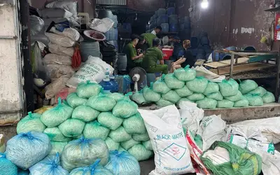 Khởi tố 4 đối tượng tại TP.HCM vì hành vi sản xuất hơn 1.000 tấn giá đỗ bằng hóa chất độc hại