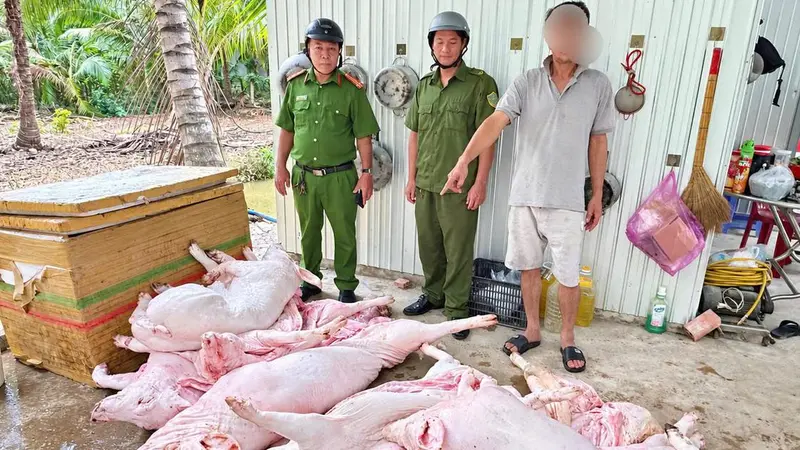 Vĩnh Long: Illegal slaughterhouses discovered operating under unhygienic conditions