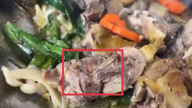 Catering business in Dak Lak suspended following reports of maggot-infested food